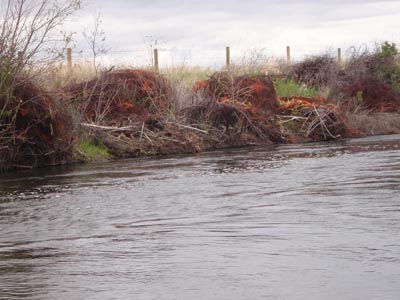 River bank.