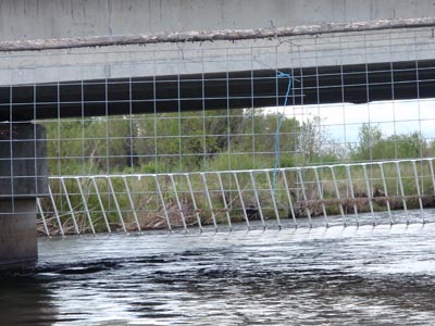 Mesh hanging from bridge.