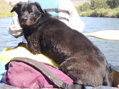 Koby in Canoe.