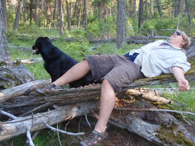 Deadwood tired.