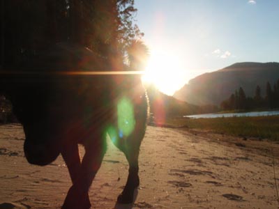 Koby at sunset.