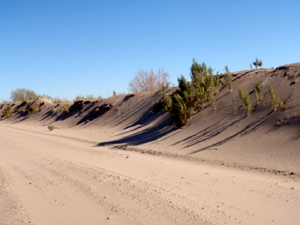 Sand berm.
