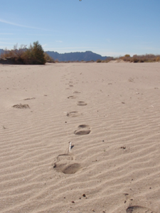 My footprints in sand.