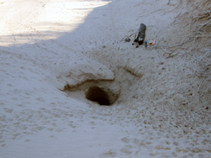 Hole in sand.