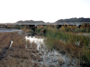 Lower Gila River.
