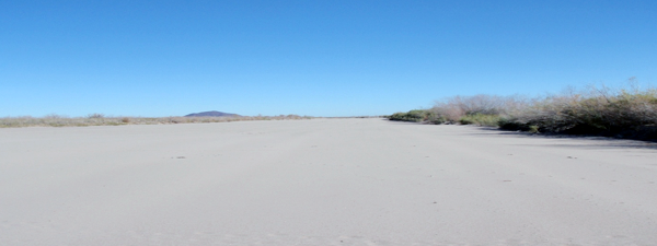 More Flat dry sand country.