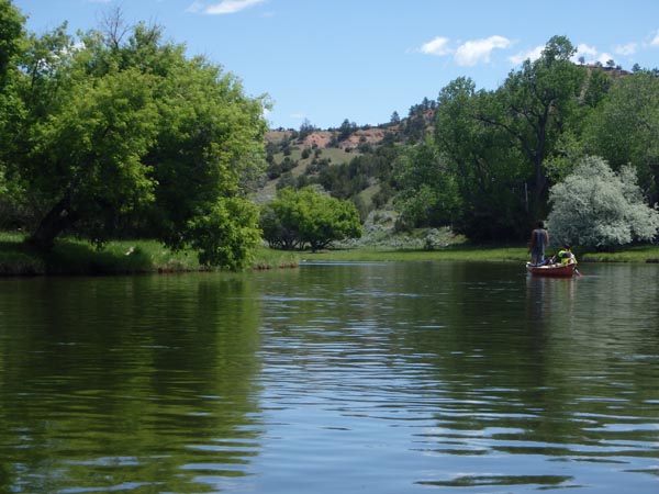 Reflection of trees in the Tongue River.