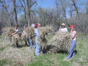 Students gathering grass for insulation and bedding.