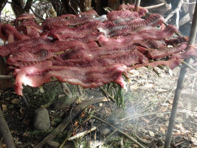 Smoking carp fish over fire.