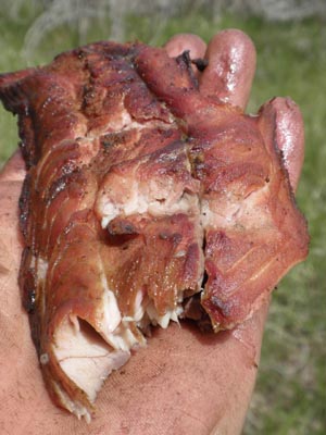 Slow cooked carp meat.