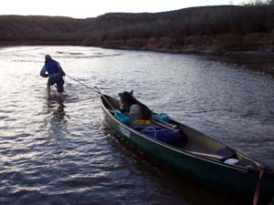 Pulling canoe, too shallow to float.