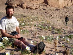 Thomas Elpel with Evening Primroses on Lake Mead shore.