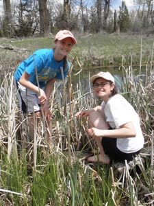 Kids gathering cattail roots.