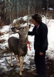 Grandma petting a deer.