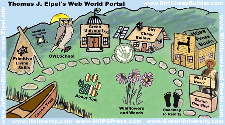 Main Menu Web World Portal.