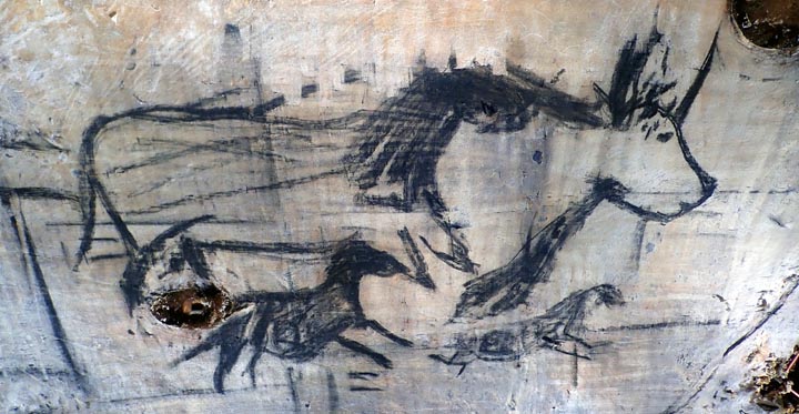 Charcoal drawings on a hide.