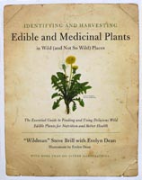 Wild Edible Basics video cover.