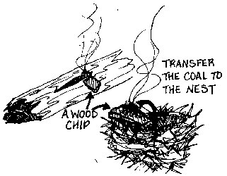 Transfering ember to tinder nest.